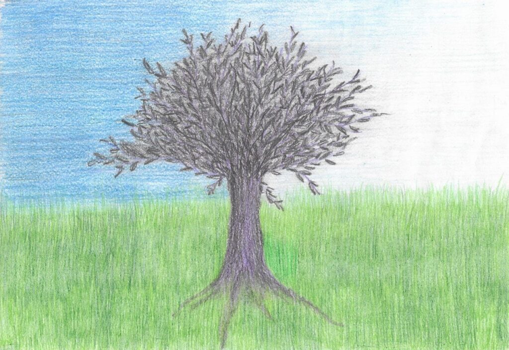 drzewo-ród-korzenie